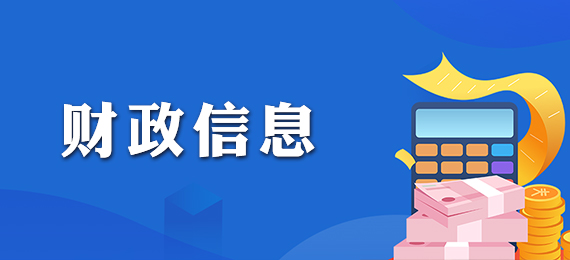 财政信息